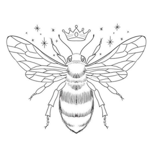 https://thehdbee.com/wp-content/uploads/sites/15/2023/08/cropped-the-hd-bee_logo.jpg